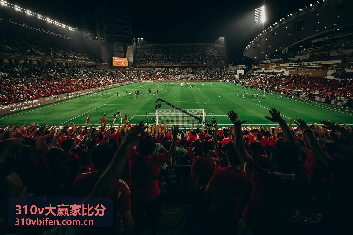 310v大赢家比分篮球实时比分